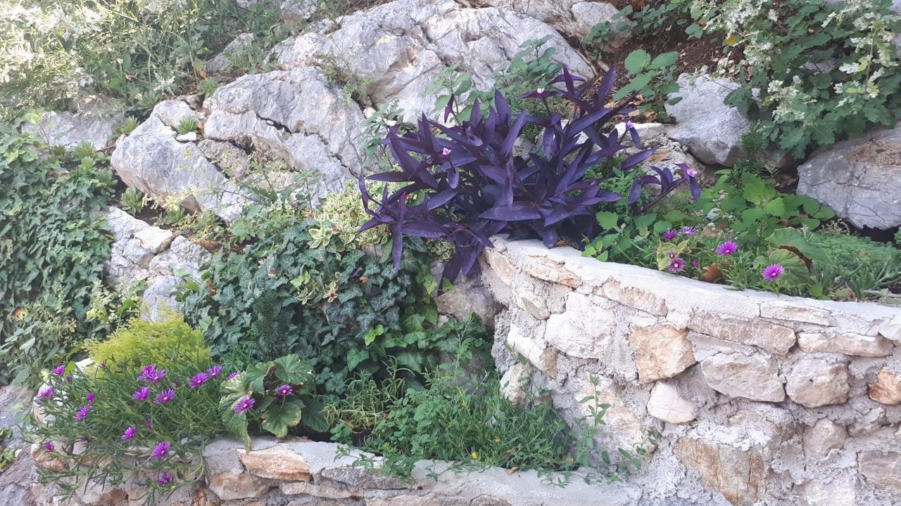 Vila Lucice Petrovac Buitenkant foto